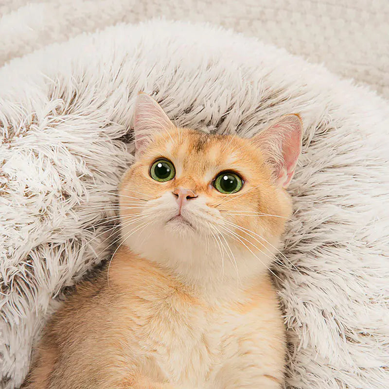 Winter Cat Bed with Enclosed Design for Small Pets